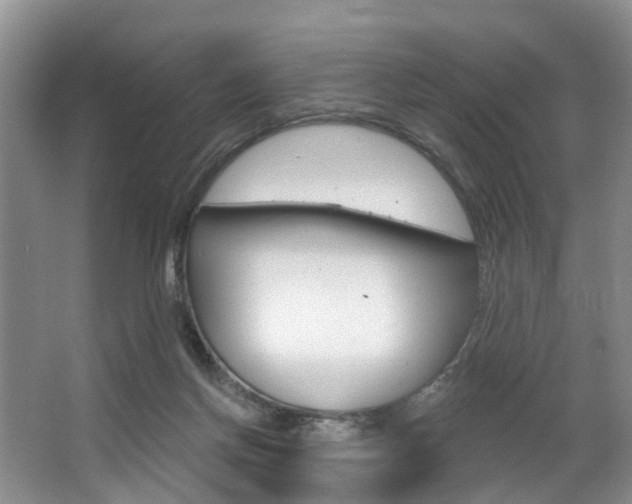 X0000063530166200601201201