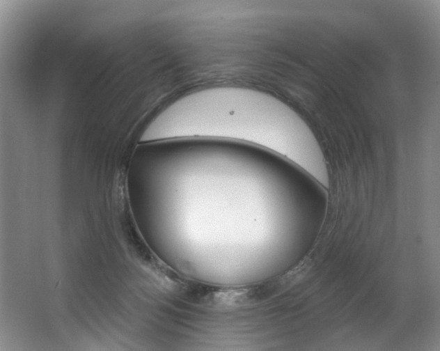 X0000063530172200601201201