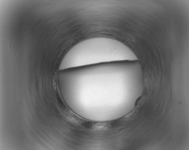 X0000063530175200601201201