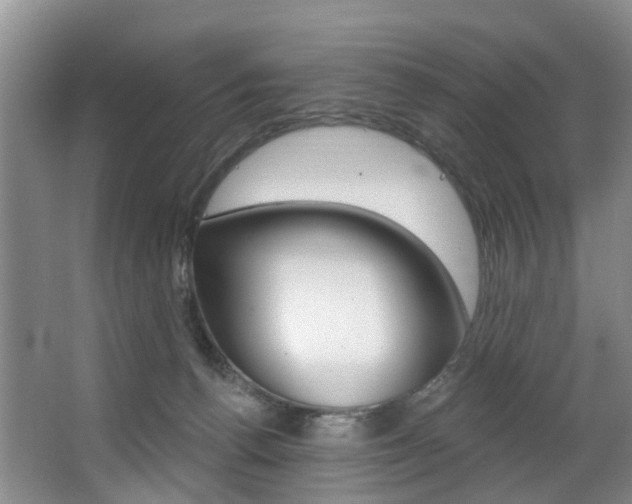 X0000063530176200601201201