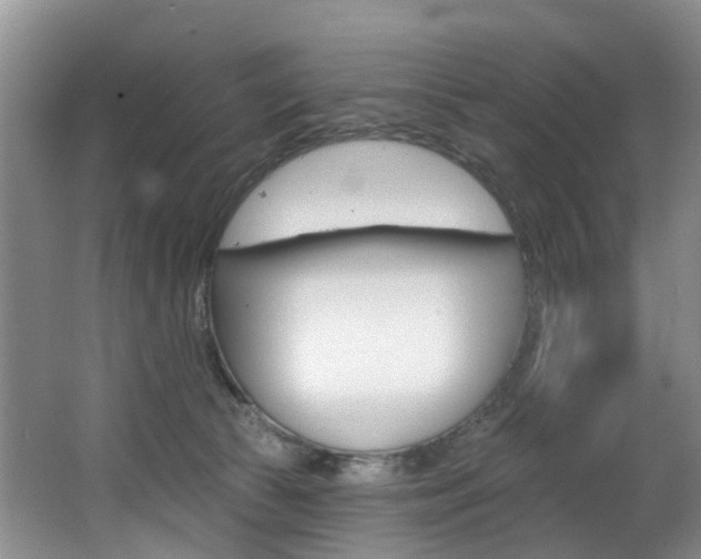 X0000063530177200601201201