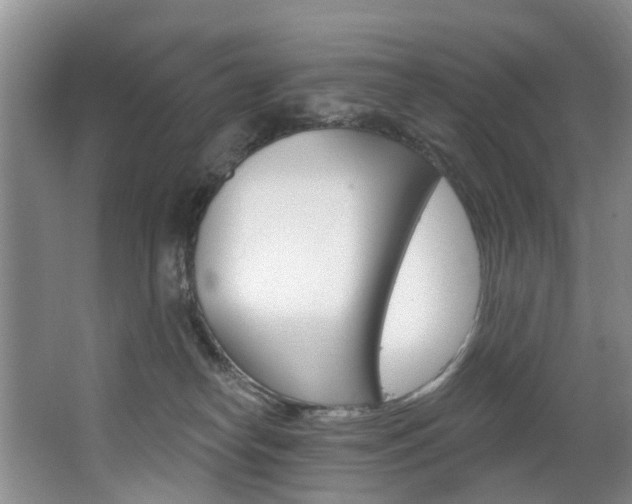 X0000063530182200601201201