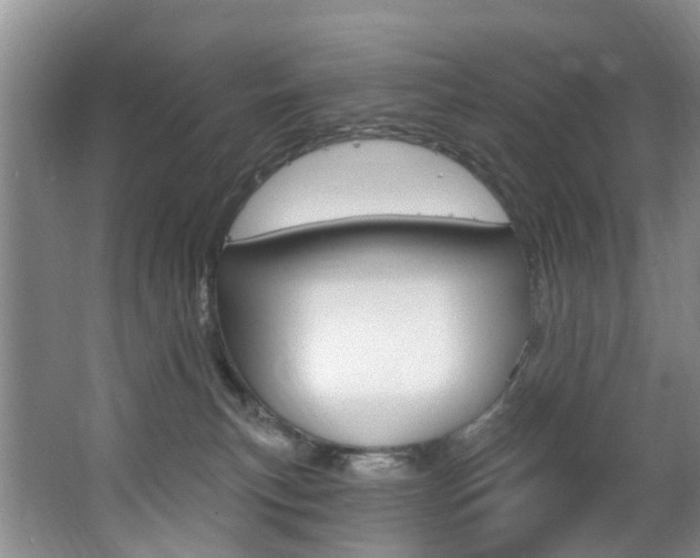 X0000063530183200601201201