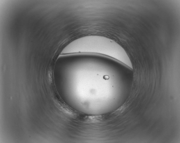 X0000063530188200601201201