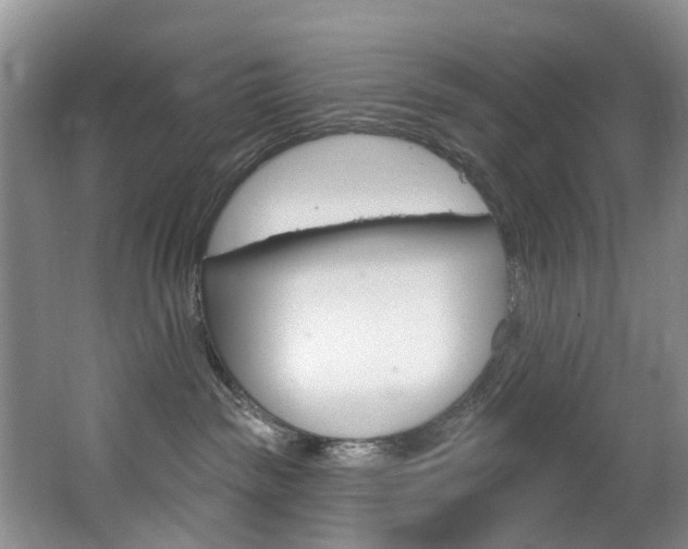 X0000063530189200601201201