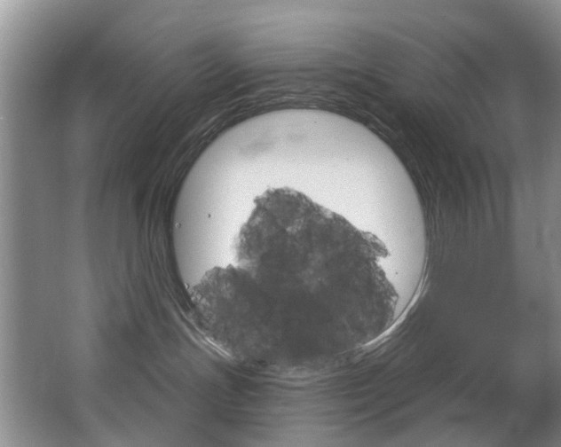 X0000063530191200601201201