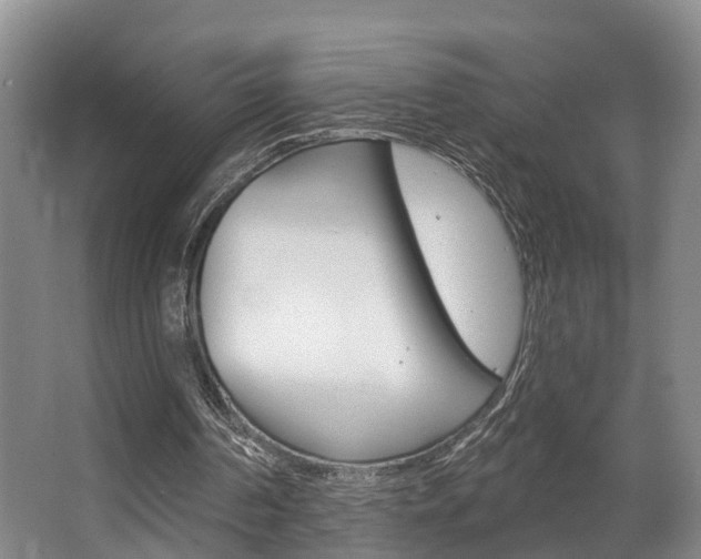 X0000063530194200601201200