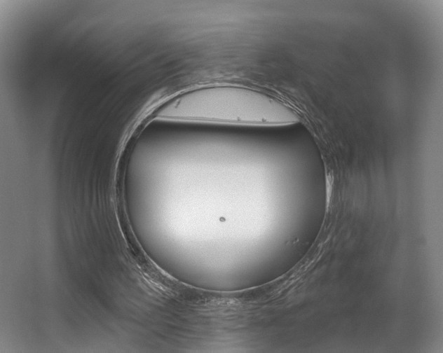 X0000063530195200601201200