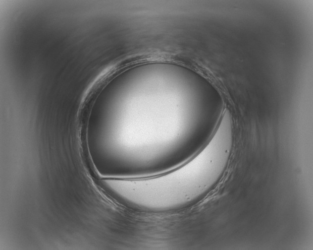 X0000063530197200601201200