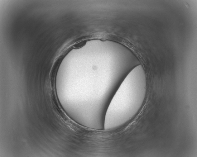 X0000063530198200601201200