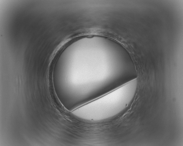X0000063530200200601201200