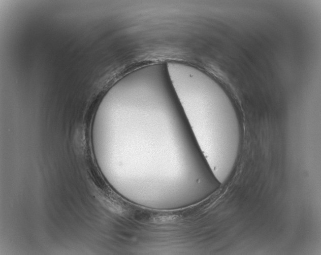 X0000063530202200601201200