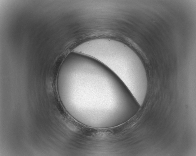 X0000063530209200601201200