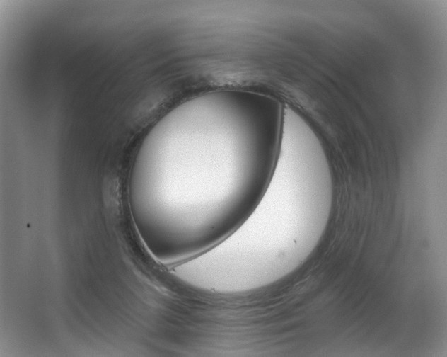 X0000063530211200601201200