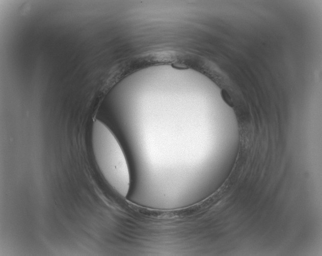 X0000063530213200601201200