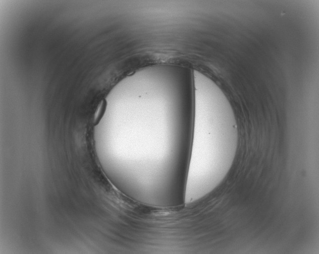 X0000063530221200601201200