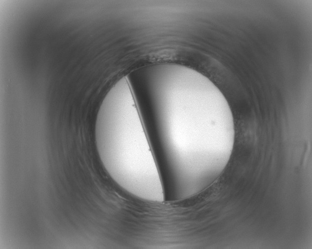 X0000063530224200601201200