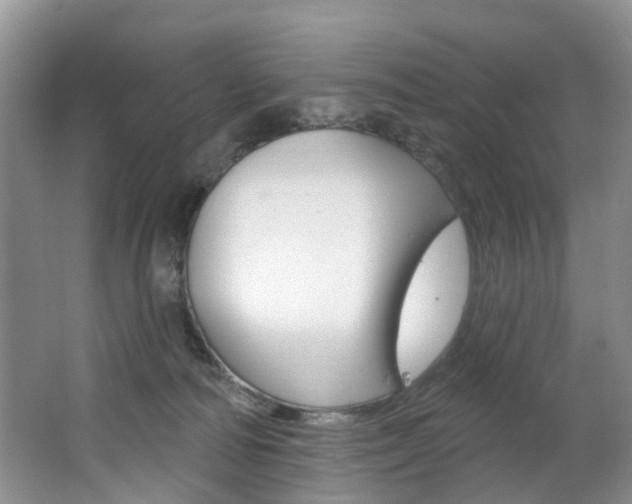 X0000063530226200601201200