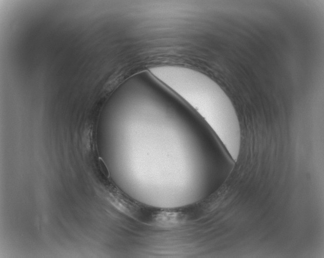 X0000063530227200601201200