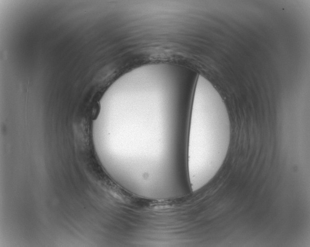 X0000063530228200601201200