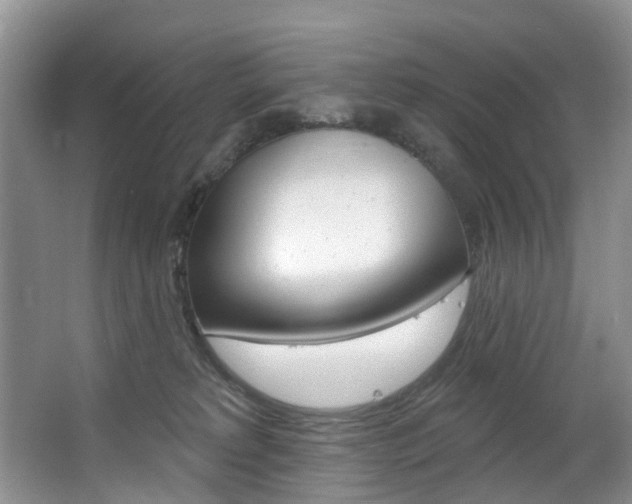 X0000063530229200601201200