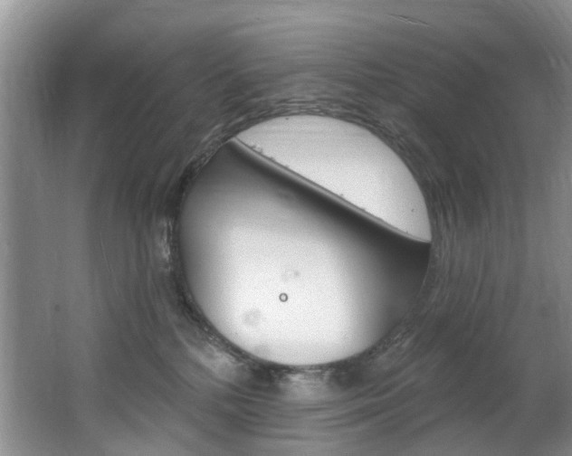 X0000063530232200601201200