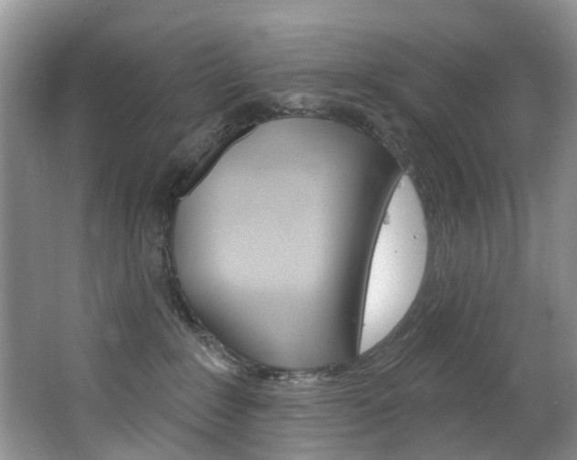 X0000063530235200601201200