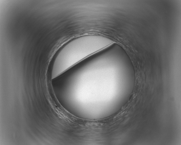 X0000063530242200601201159
