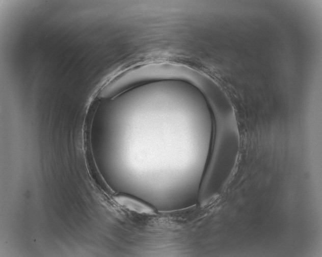 X0000063530244200601201159