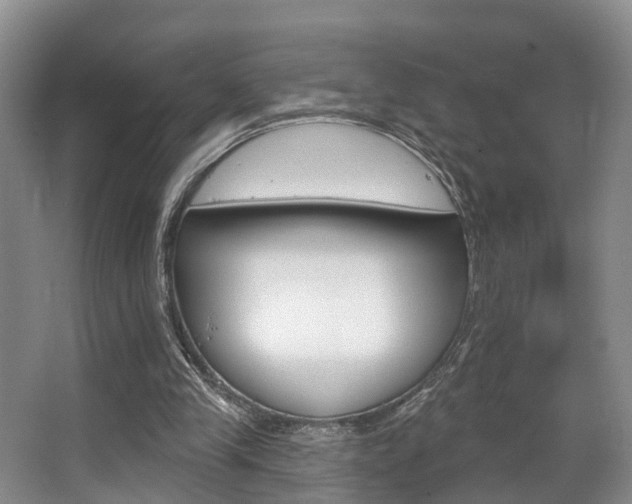 X0000063530245200601201159
