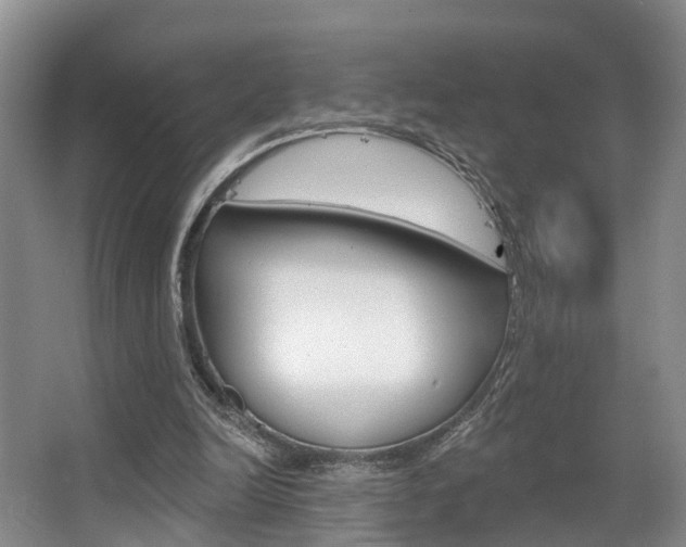 X0000063530246200601201159