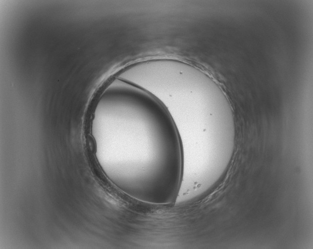 X0000063530248200601201159