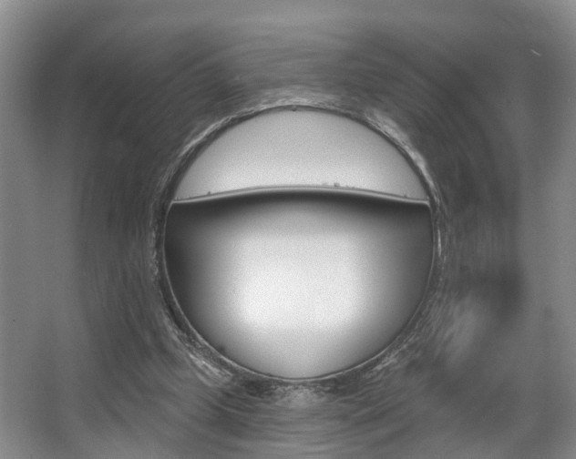 X0000063530249200601201159