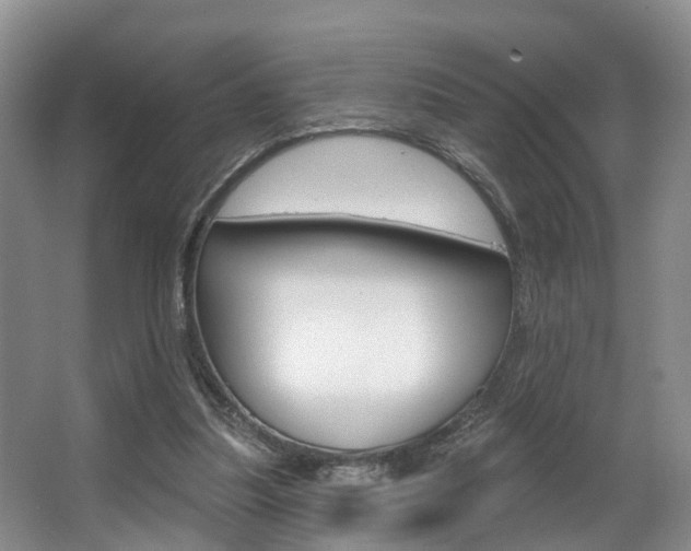 X0000063530251200601201159