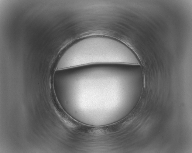X0000063530253200601201159