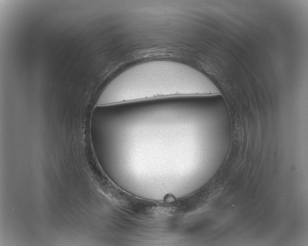 X0000063530255200601201159