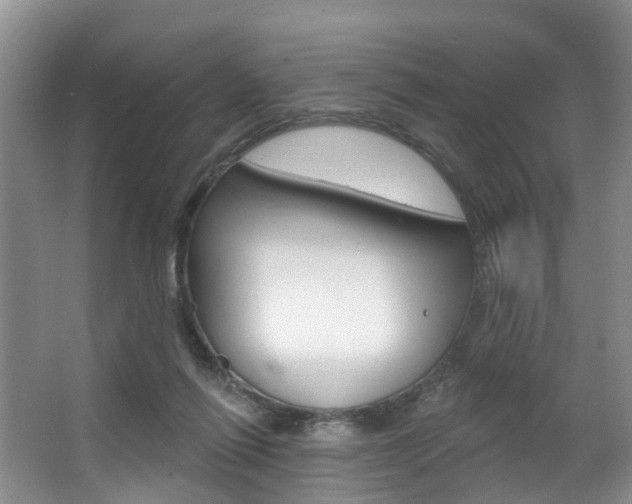 X0000063530262200601201159