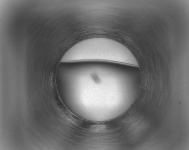 X0000063530266200601201159
