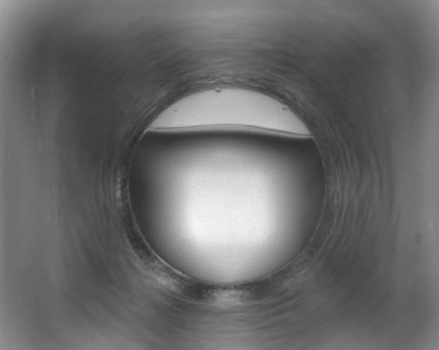 X0000063530268200601201159