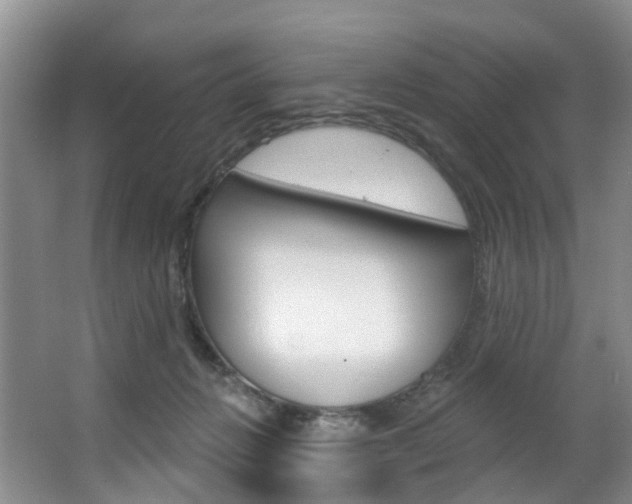 X0000063530270200601201159