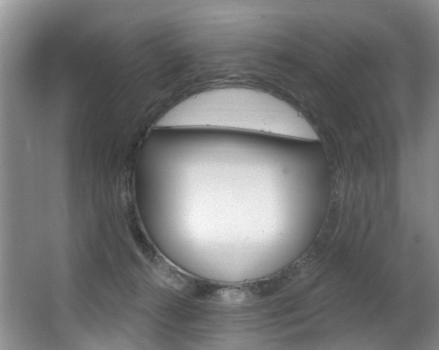 X0000063530272200601201159