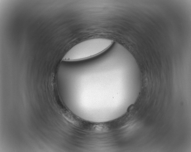 X0000063530275200601201159