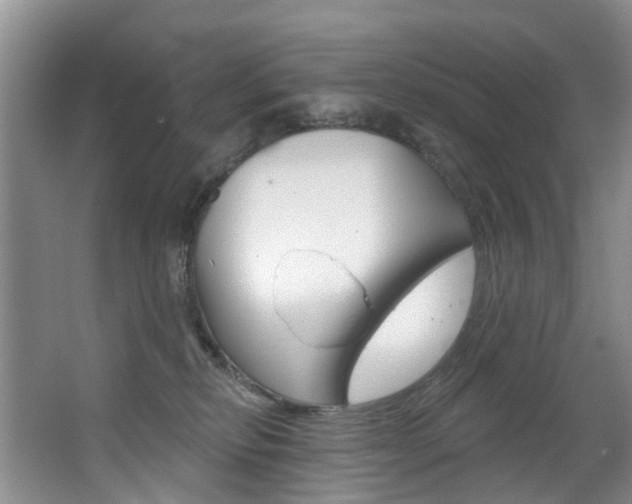 X0000063530278200601201159