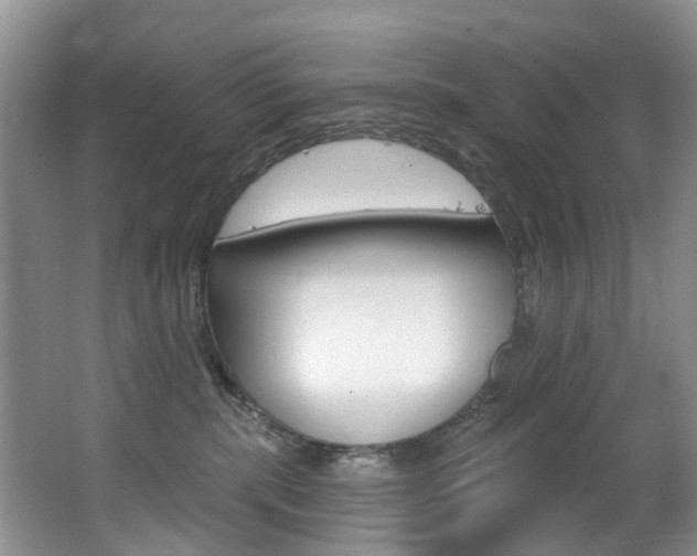 X0000063530283200601201200