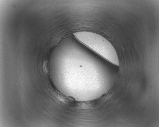 X0000063530286200601201200