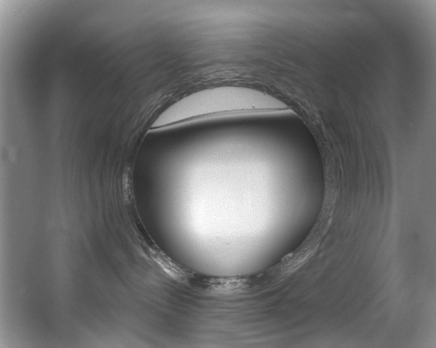 X0000063530288200601201200