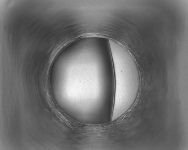 X0000063530289200601201159