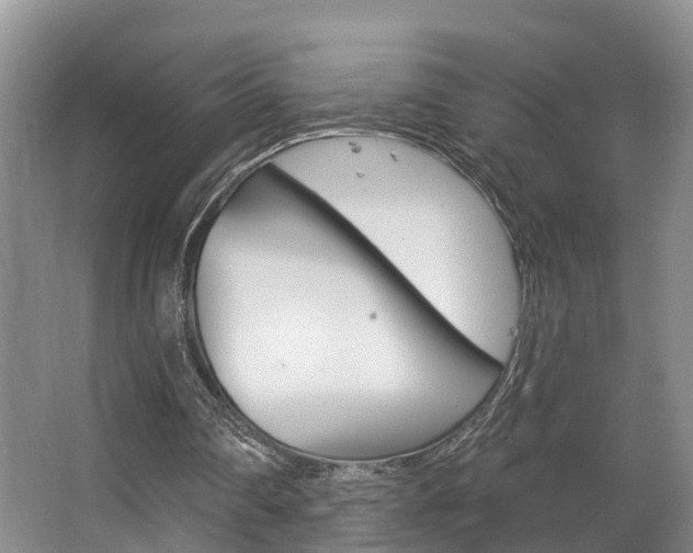 X0000063530290200601201159