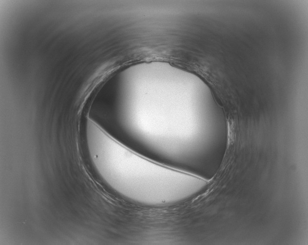 X0000063530291200601201159