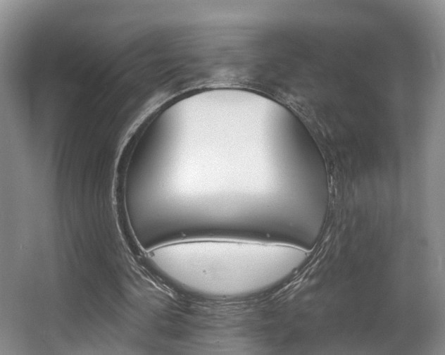 X0000063530292200601201159